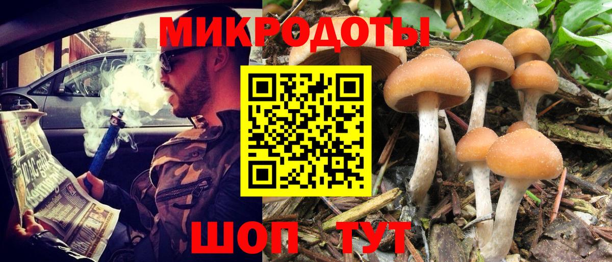 Псилоцибиновые грибы MAGIC MUSHROOMS  Вход с VPN  Зерноград  дарнет шоп  Галлюциногенные грибы прущие грибы 