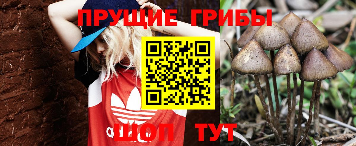 LSD-25  Вход с VPN  Alpha-PVP СК кристаллы  Меф   ГАШ  Гашиш  Зерноград  Каннабис 